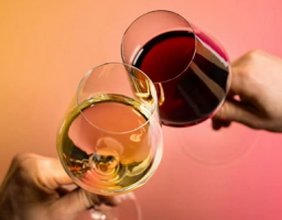Club Meeting + Wine tasting social
